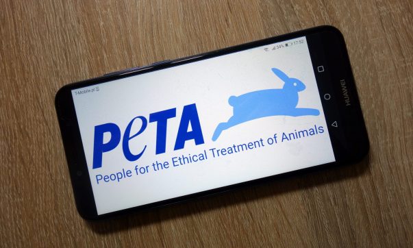 1242. Encore: The Book, “PETA’s Version of the Creation Story” – Dr. Tom Egger, 5/3/24