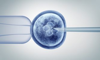 A New York Times Story, “They Started IVF, Then Split. Now Who Gets Custody of the Embryos?”- Katy Faust, 5/26/26 (1463)