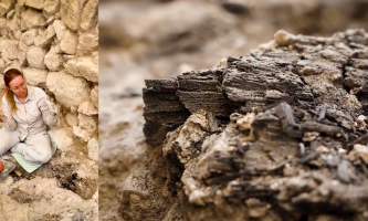 The Discovery in Jerusalem of Wooden Beams from the Time of Solomon’s Temple – Dr. David Adams, 7/23/26 (2041)
