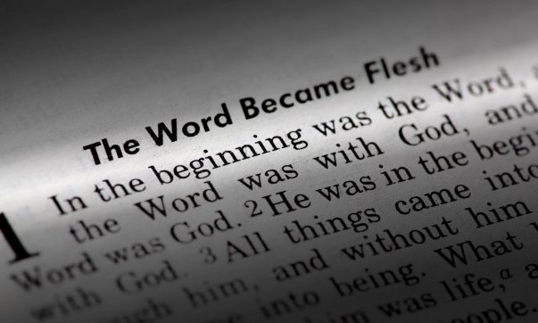 The Word “Flesh” in the Bible, Part 2 – Pr. Will Weedon, 8/19/26 (2313)